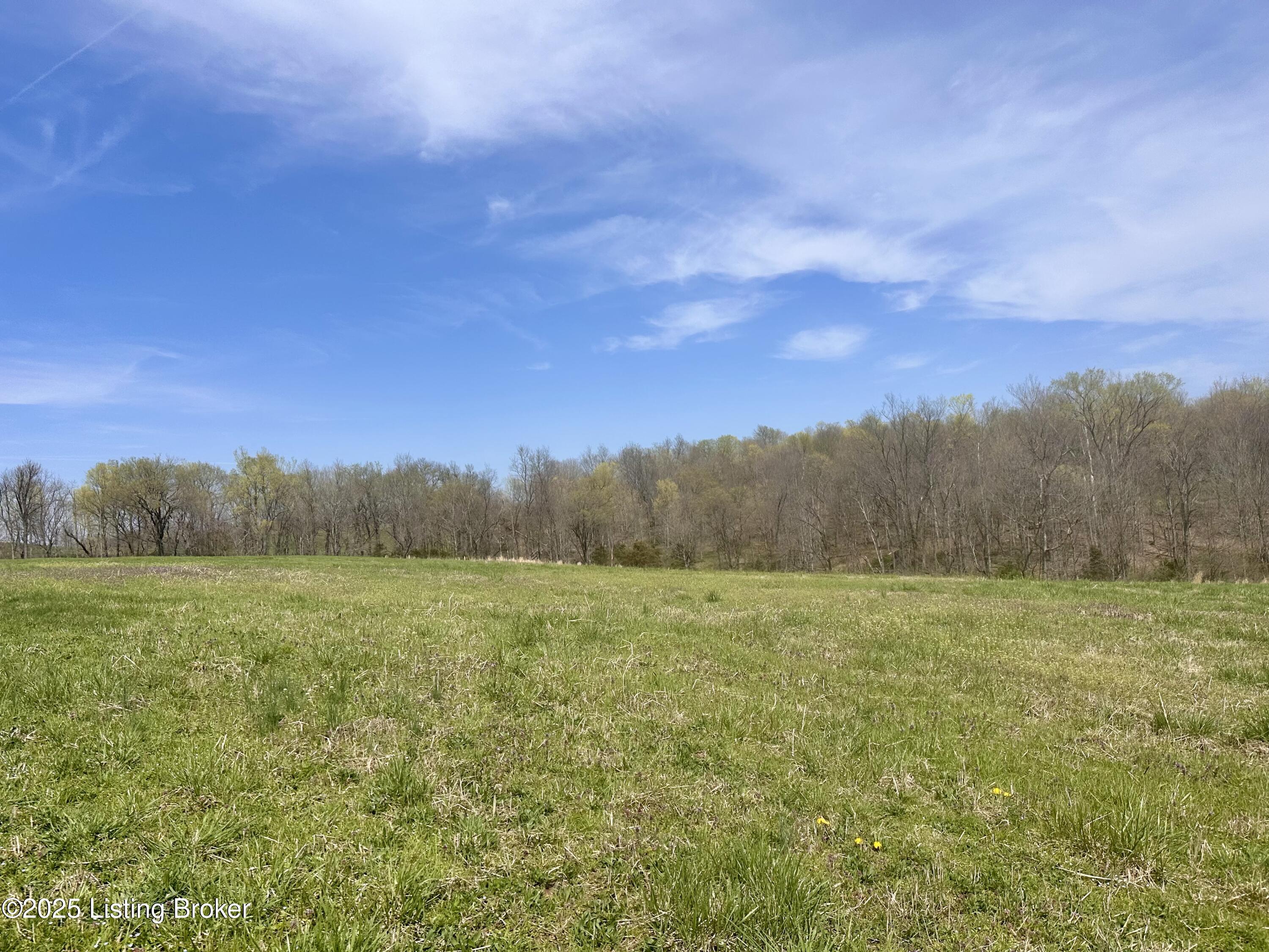 Polin Rd, Willisburg, Kentucky image 6