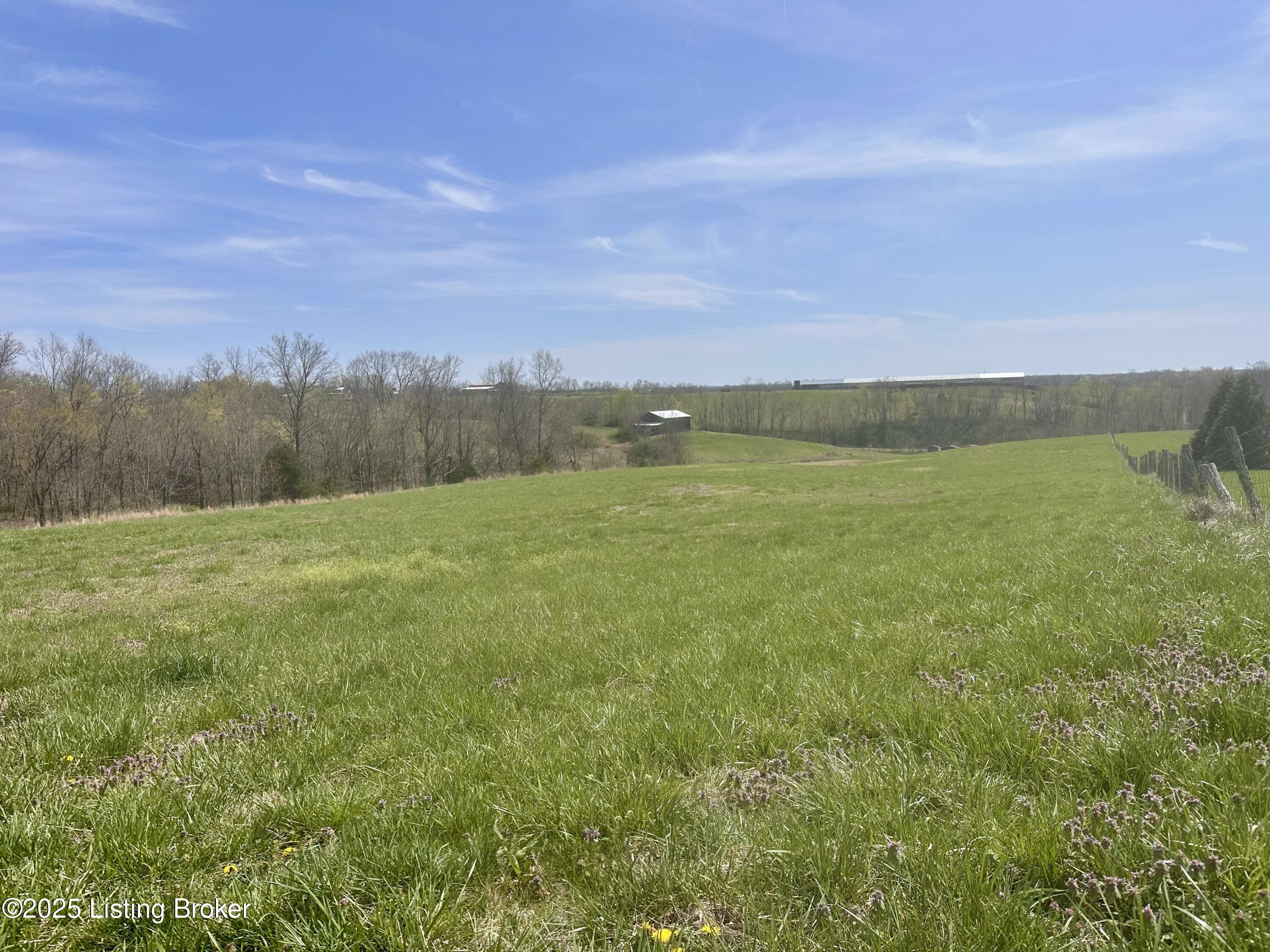 Polin Rd, Willisburg, Kentucky image 5