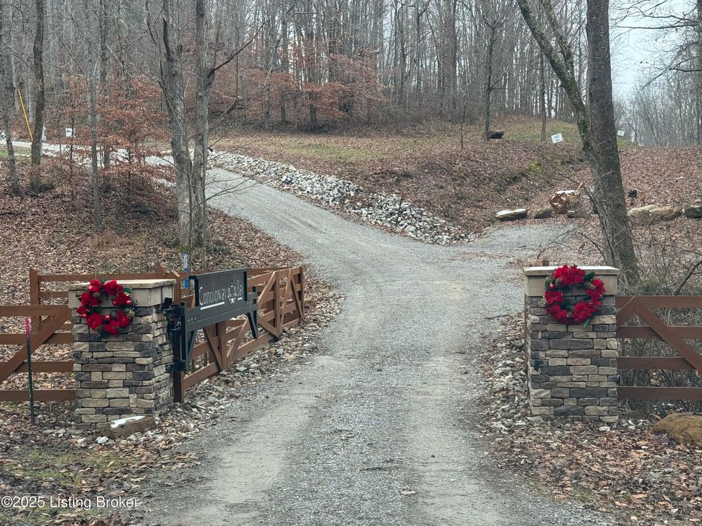 Photo of 303 Conoloway Bay Dr, Clarkson, KY 42726 (MLS # 1704868)