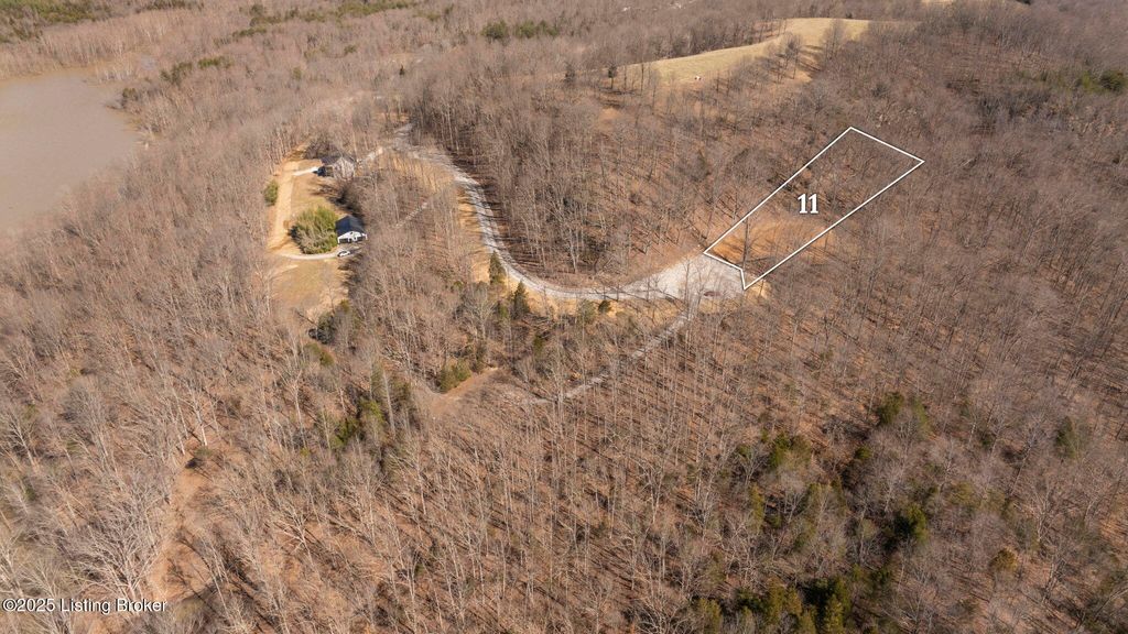 Photo of 303 Conoloway Bay Dr, Clarkson, KY 42726 (MLS # 1704868)