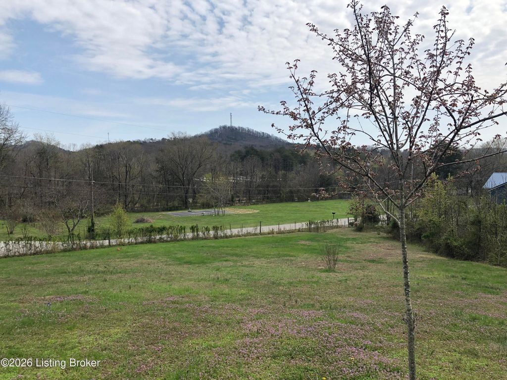 Photo of 725 Church St, Lebanon Junction, KY 40150 (MLS # 1712910)