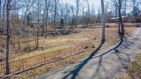 Vacant Land For Sale - 37 Bessie Ln<br/> Grayson County, Falls Of Rough, KY 40119