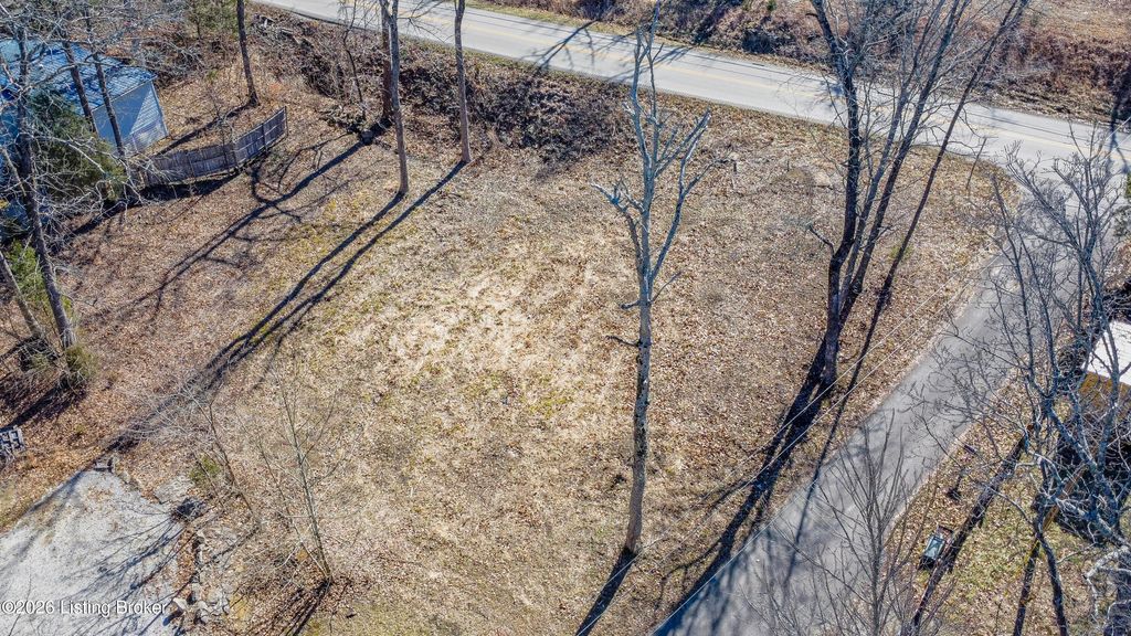 Photo of 37 Bessie Ln, Falls Of Rough, KY 40119 (MLS # 1710418)