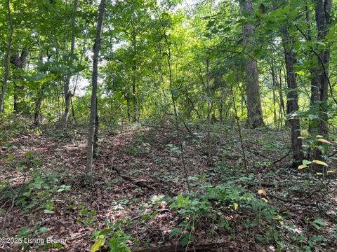 Vacant Land For Sale - 802 Stone Hill Rd<br/> Mammoth Cave, KY 42259