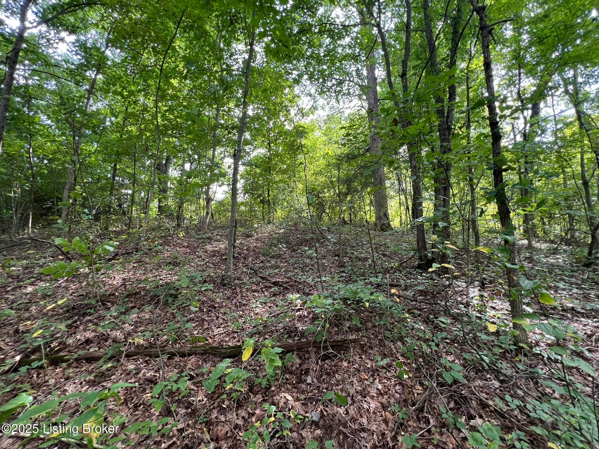 802 Stone Hill Rd