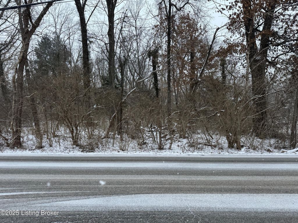 Photo of 1305 Ormsby Ln, Lyndon, KY 40222 (MLS # 1712282)