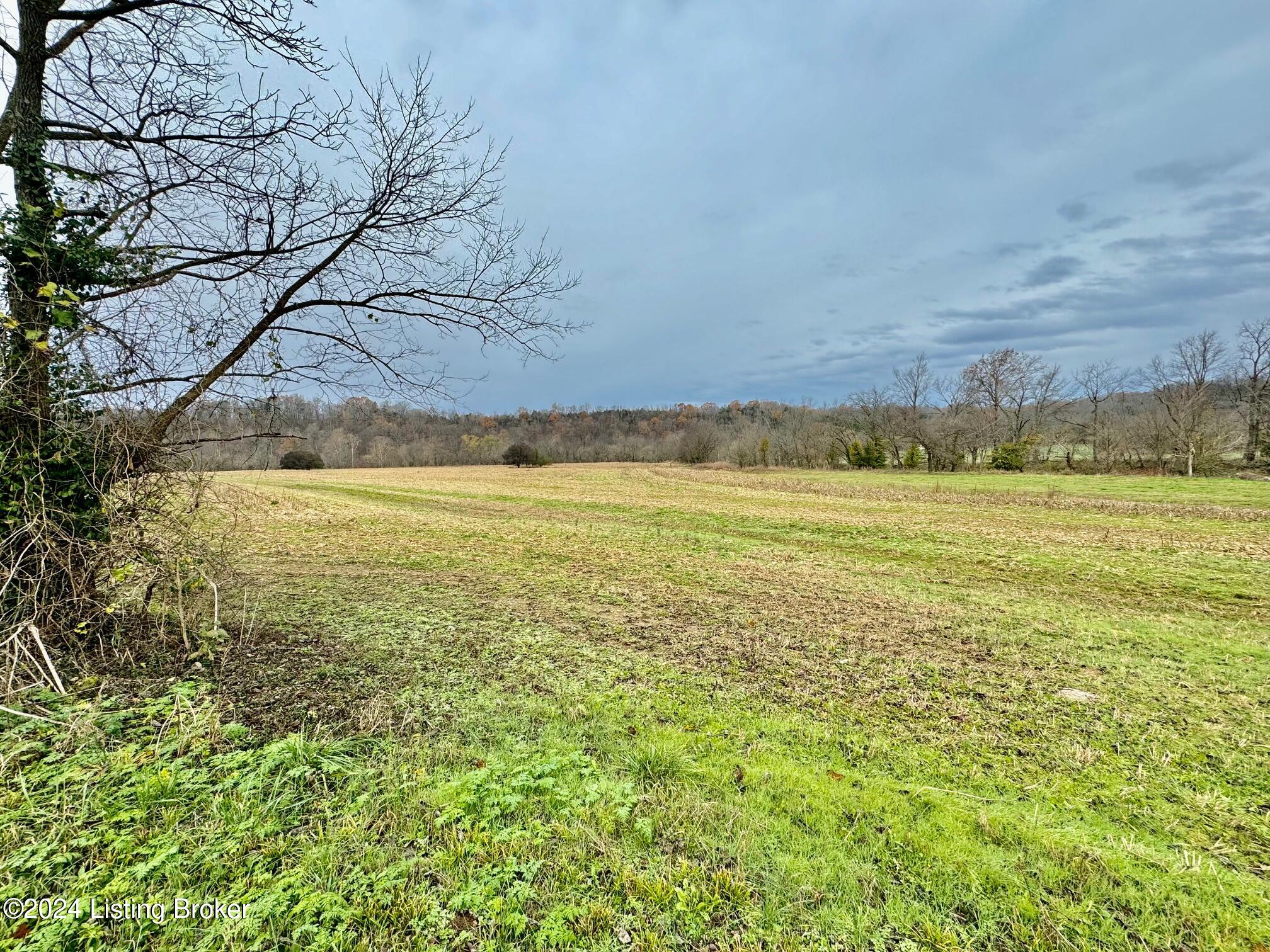 2 Grundy Home Rd, Springfield, Kentucky image 4