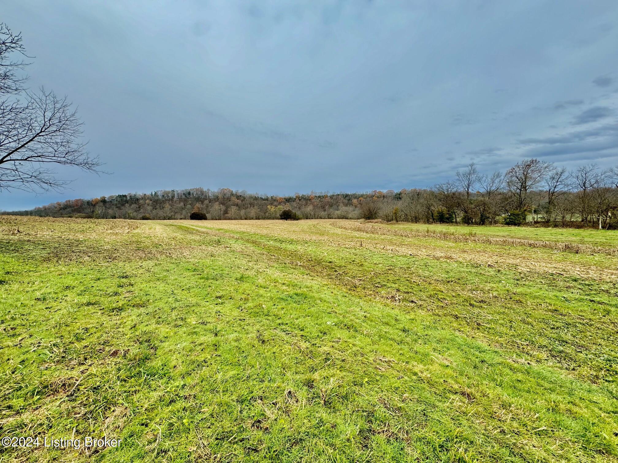 2 Grundy Home Rd, Springfield, Kentucky image 1