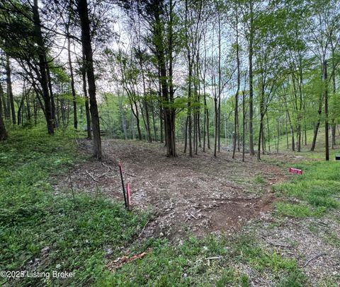Homes For Sale - LOT 45A Walleye Way<br/> Scottsville, KY 42164