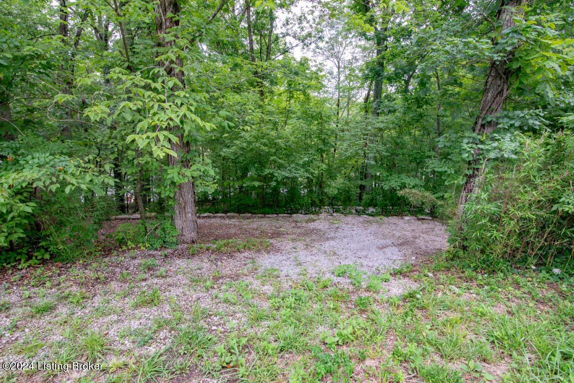 3 S Lakeside Dr, Leitchfield, Kentucky image 41