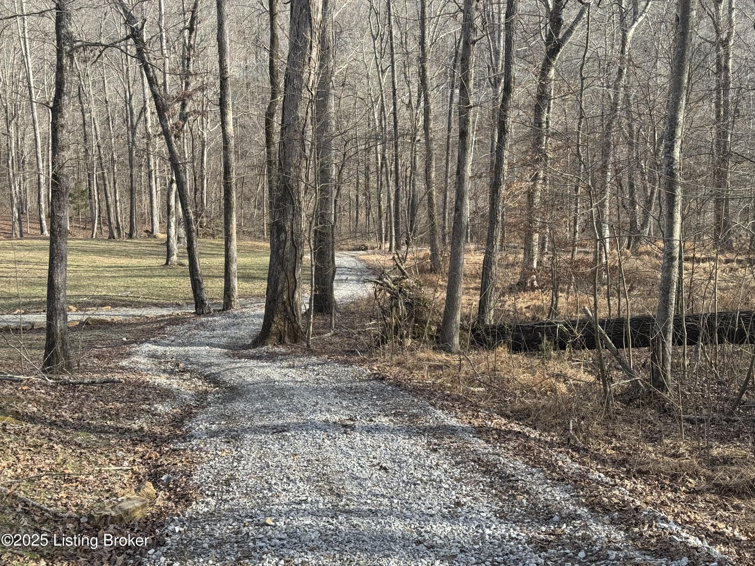 Moutardier Bay Lower Rd, Leitchfield, Kentucky image 4