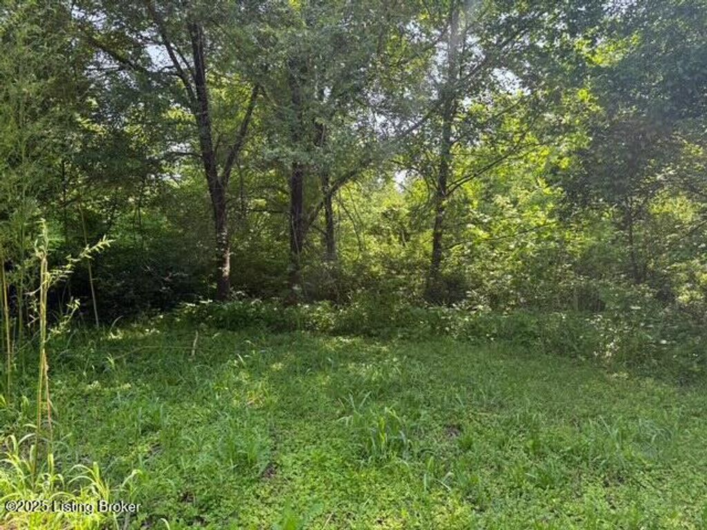 Photo of 7405 Lake Louisvilla Dr, Crestwood, KY 40014 (MLS # 1688484)