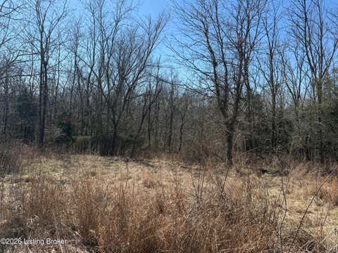 Vacant Land For Sale - 1 Landings Ct<br/> Willisburg, KY 40078