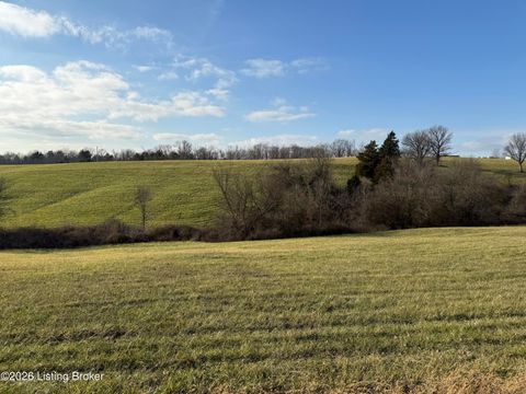 Vacant Land For Sale - 537 Dawkins Ln #TRACT4<br/> Sulphur, KY 40070