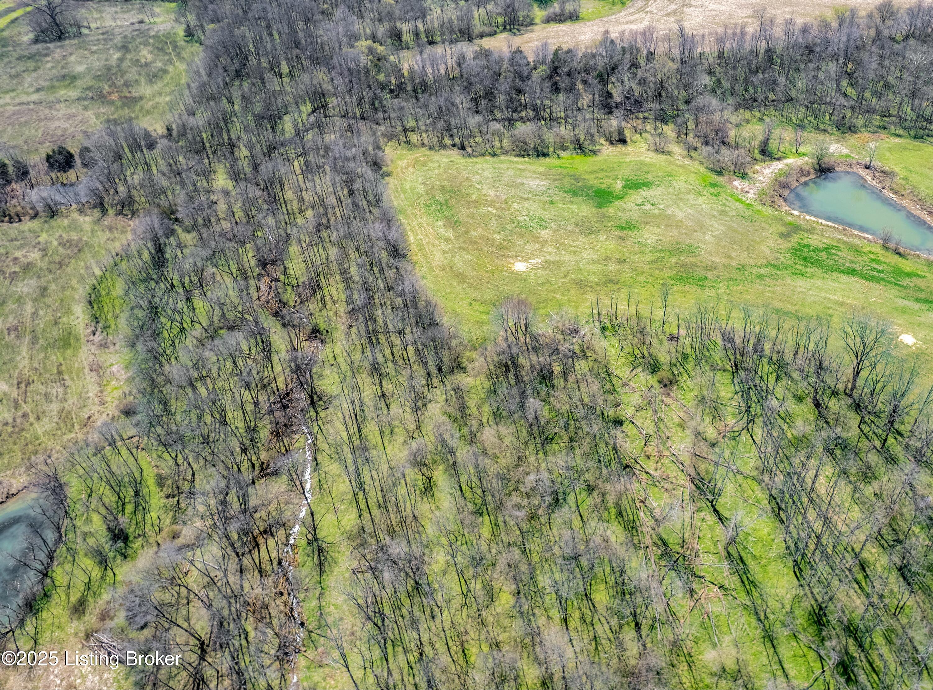 Tract 94 Stallard Springs North, Shelbyville, Kentucky image 5