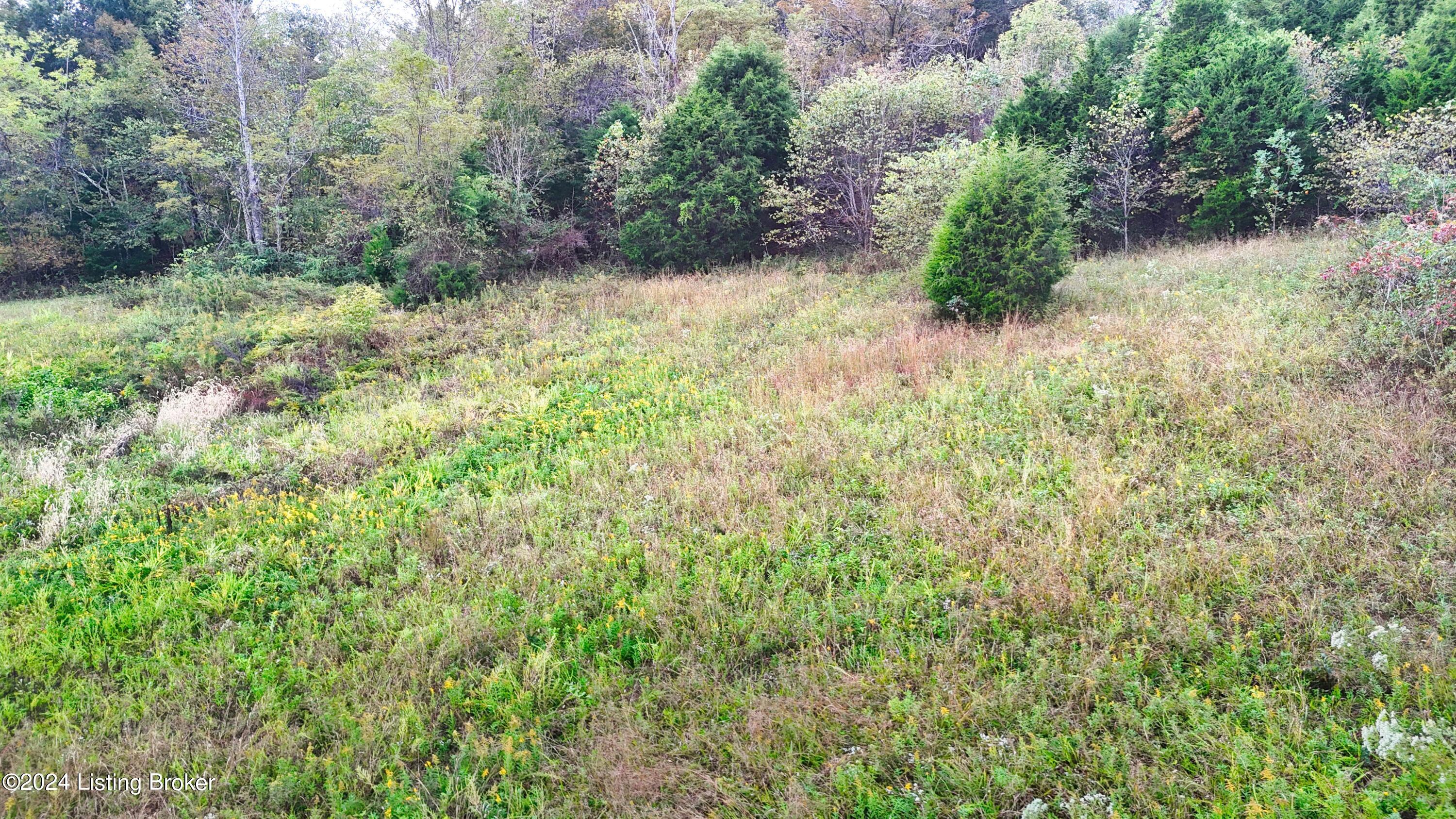 Lot 0 Howard Tucker Ln, Hudson, Kentucky image 16