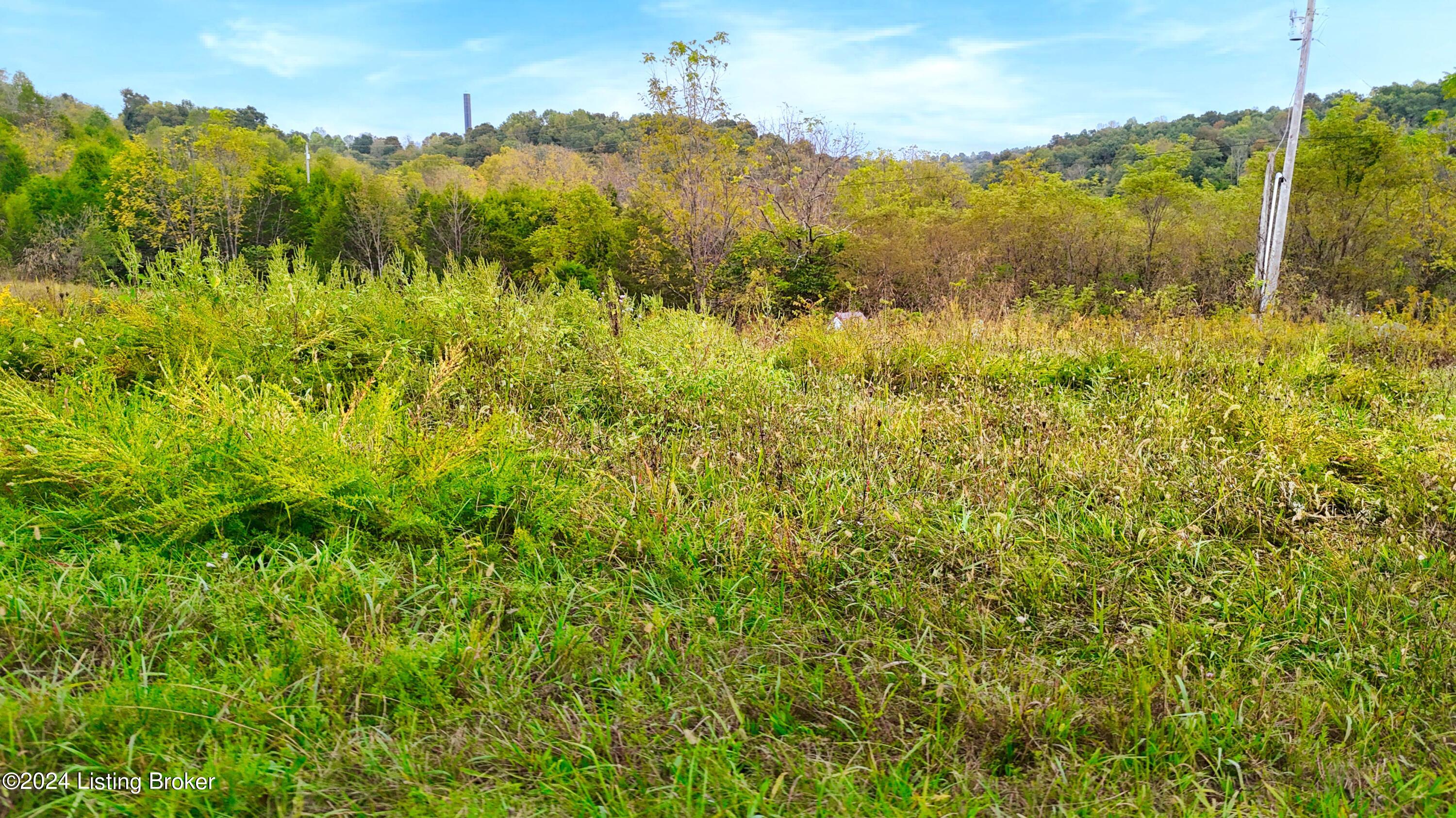 Lot 0 Howard Tucker Ln, Hudson, Kentucky image 3