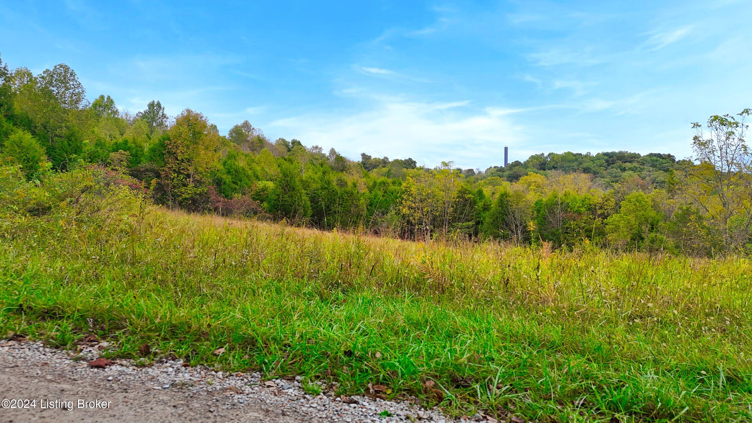 Lot 0 Howard Tucker Ln, Hudson, Kentucky image 7