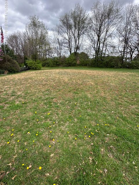 Vacant Land For Sale - 104 Mckenna Way<br/> Nelson County, Bardstown, KY 40004