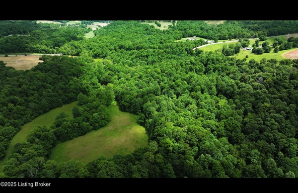 5579 FALLS OF ROUGH RD, CANEYVILLE, KY 42721 - Image 9783393804e8fbf8dcd19b592528f4c5/3066809382