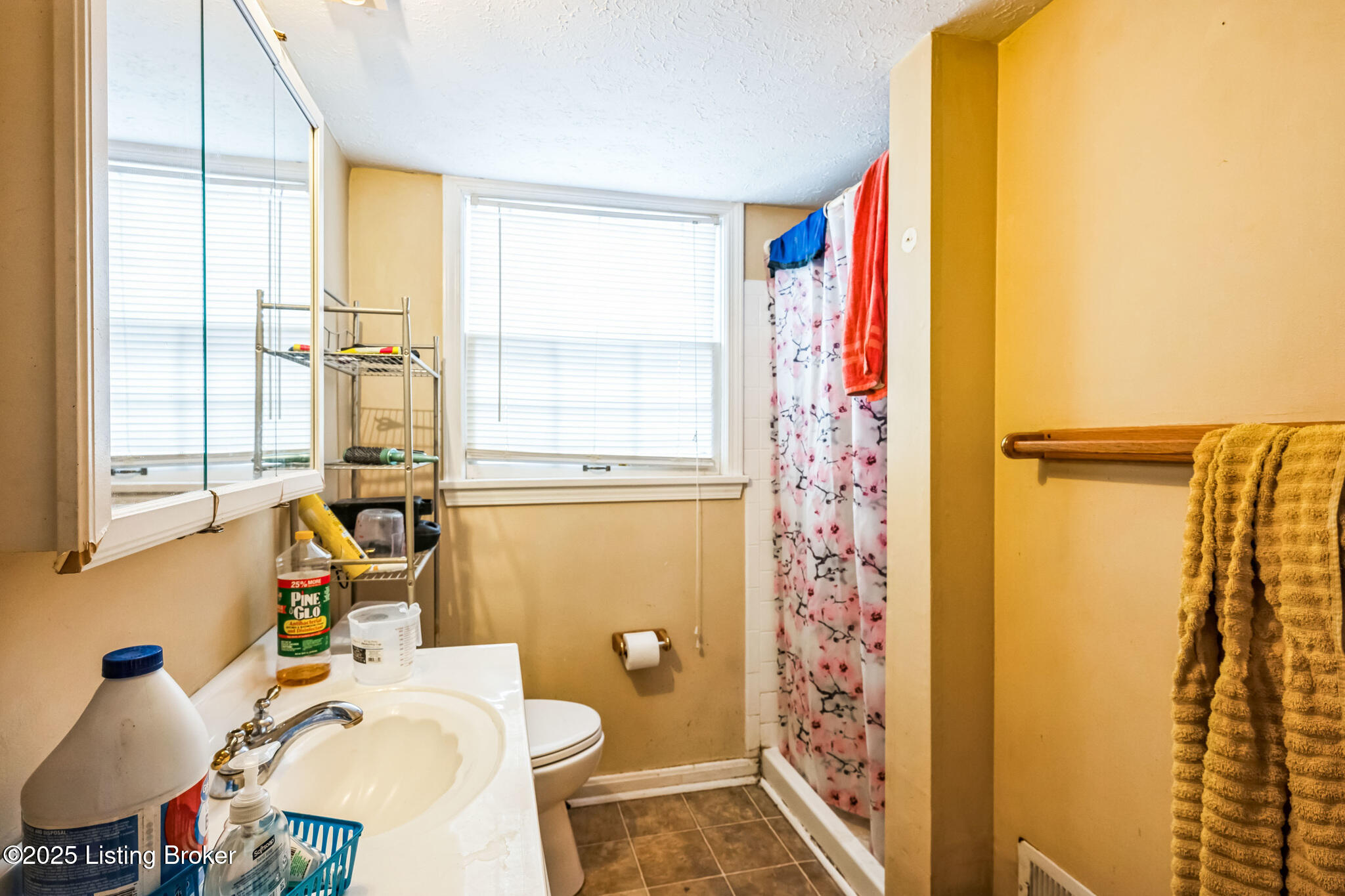 3102 Arjay Ln, Louisville, Kentucky image 10