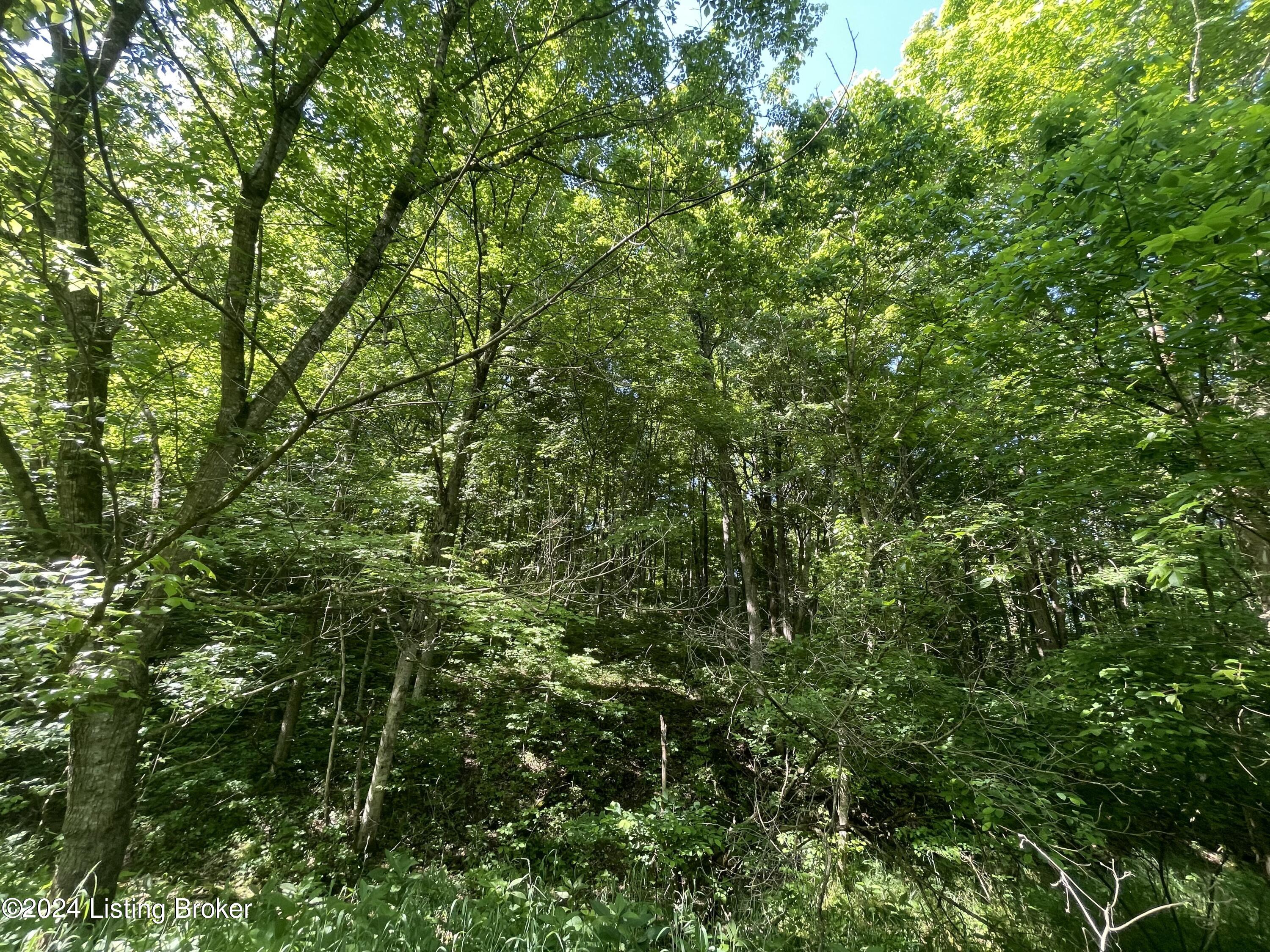 Tract 4A Mt Eden Rd, Mount Eden, Kentucky image 26