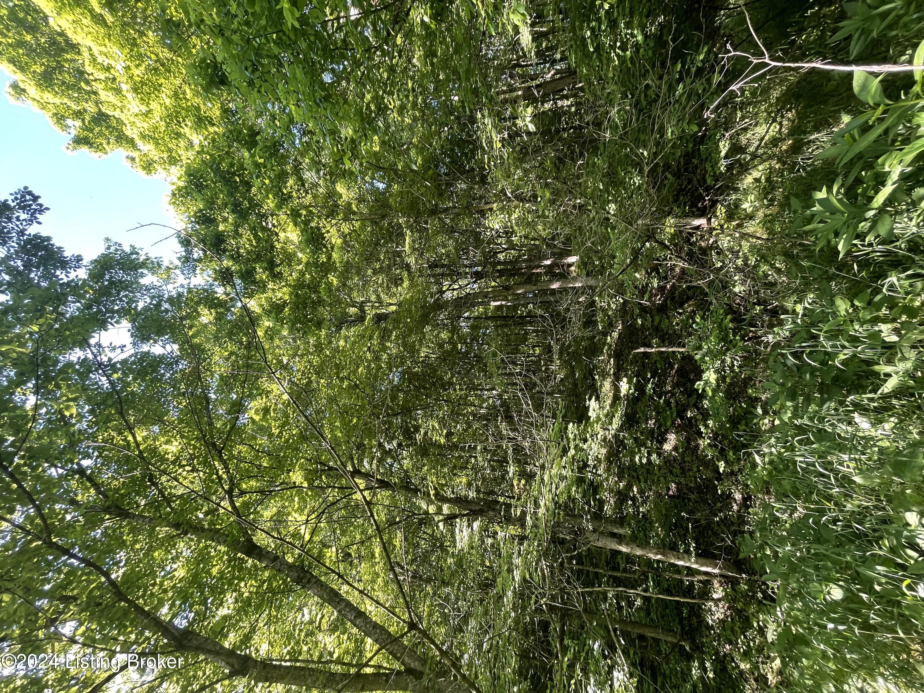 Tract 4A Mt Eden Rd, Mount Eden, Kentucky image 25