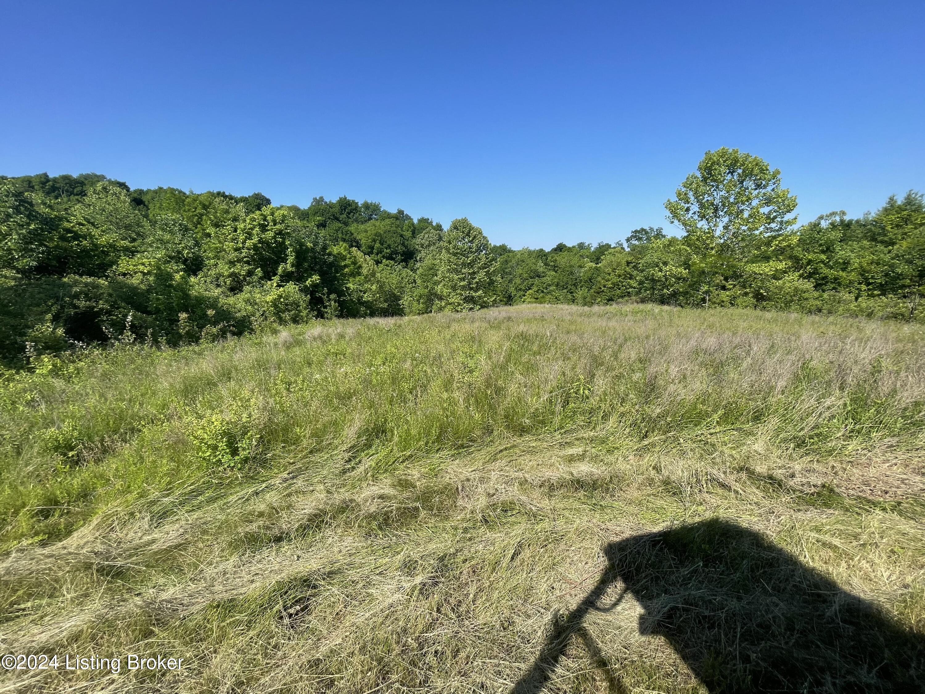 Tract 4A Mt Eden Rd, Mount Eden, Kentucky image 4