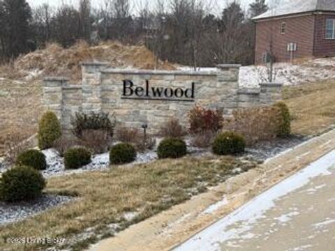 Vacant Land For Sale - 255 Sparrow Ln<br/> Fisherville, KY 40023