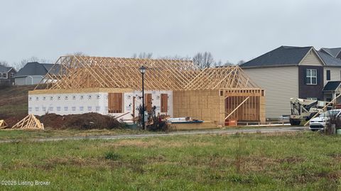 Photo of 424 Lambrusco Way, Vine Grove, KY 40175 (MLS # 1704414)