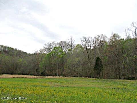 Vacant Land For Sale - LOT 38 Sulphur Lick Rd<br/> New Hope, KY 40052