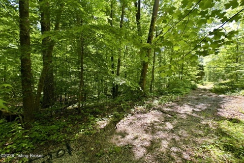 Vacant Land For Sale - 2 Ambassador Shores Dr<br/> Leitchfield, KY 42754