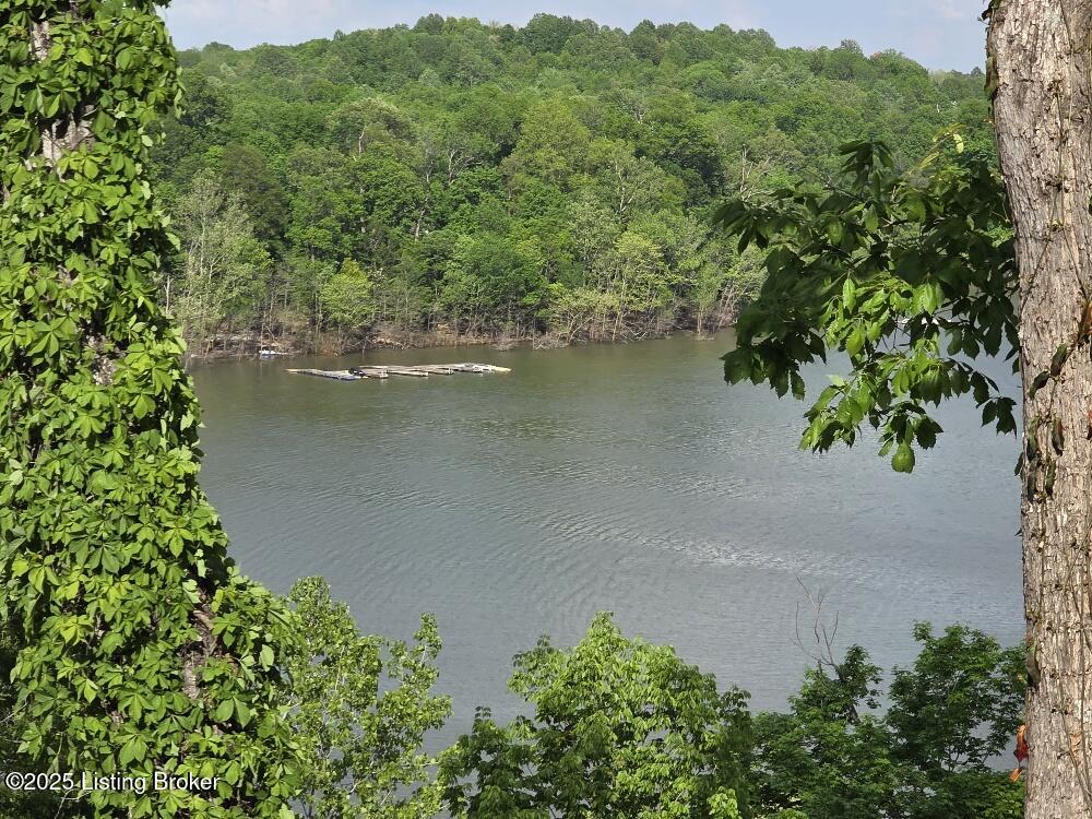 260 Patriots Path Ln, Falls Of Rough, Kentucky image 3