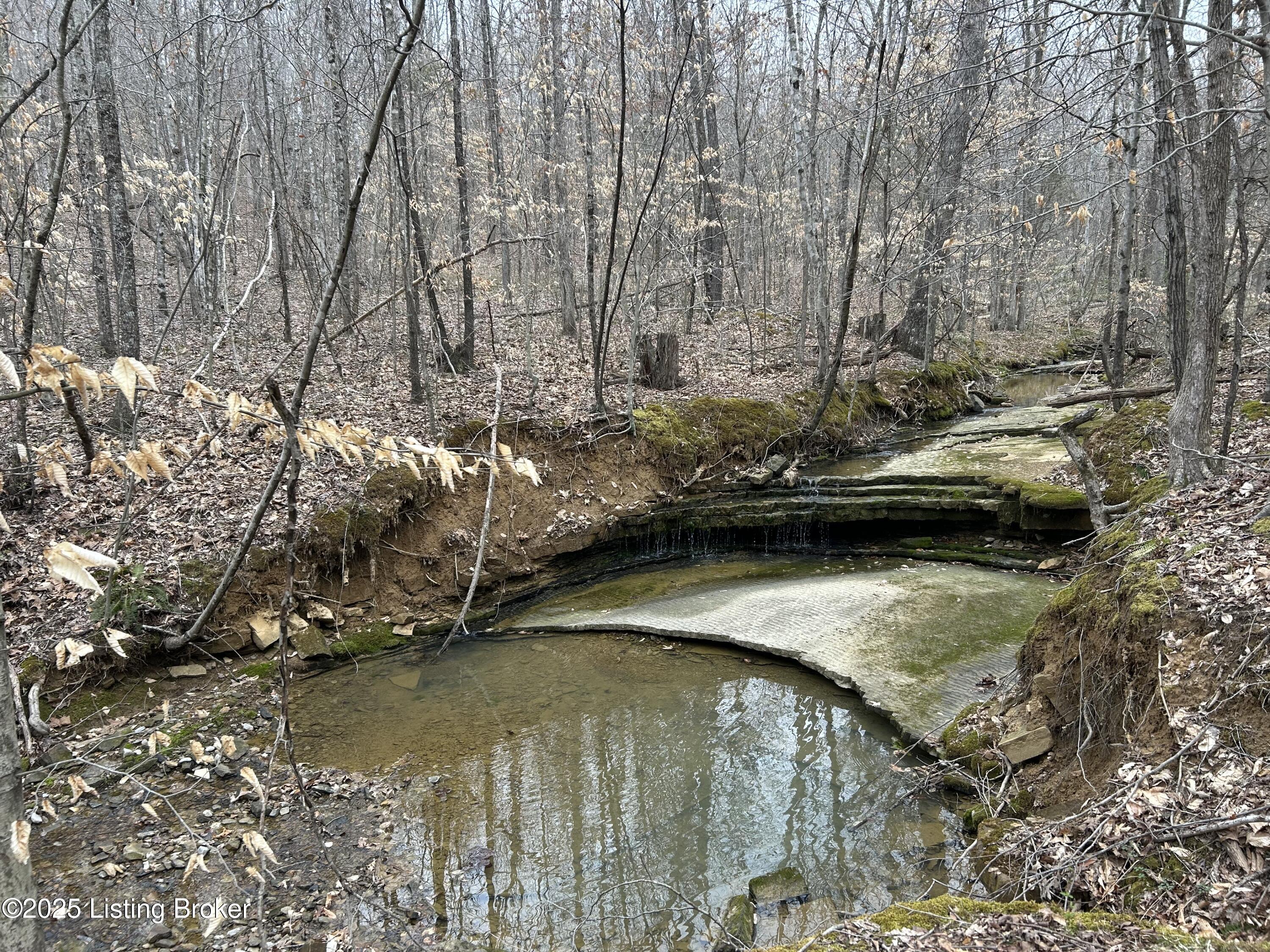 LOT 13&16 Saltsman Dr, Leitchfield, Kentucky image 1