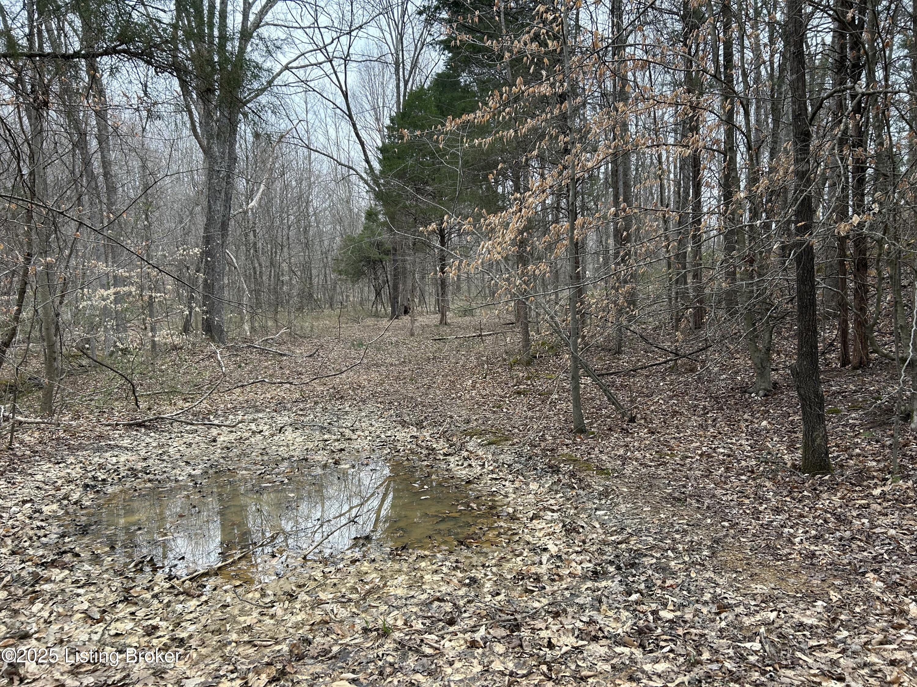 LOT 13&16 Saltsman Dr, Leitchfield, Kentucky image 2