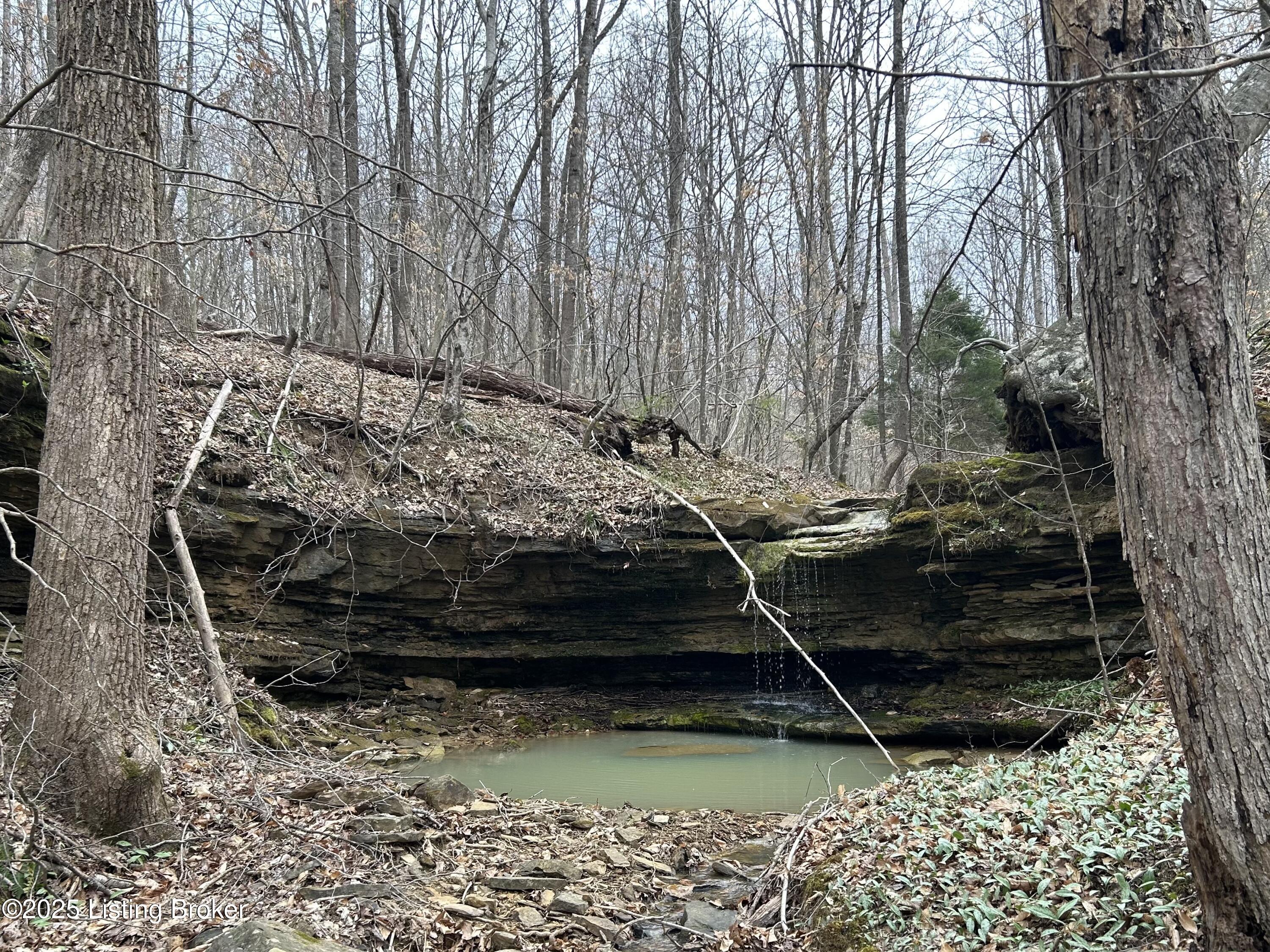 LOT 13&16 Saltsman Dr, Leitchfield, Kentucky image 6