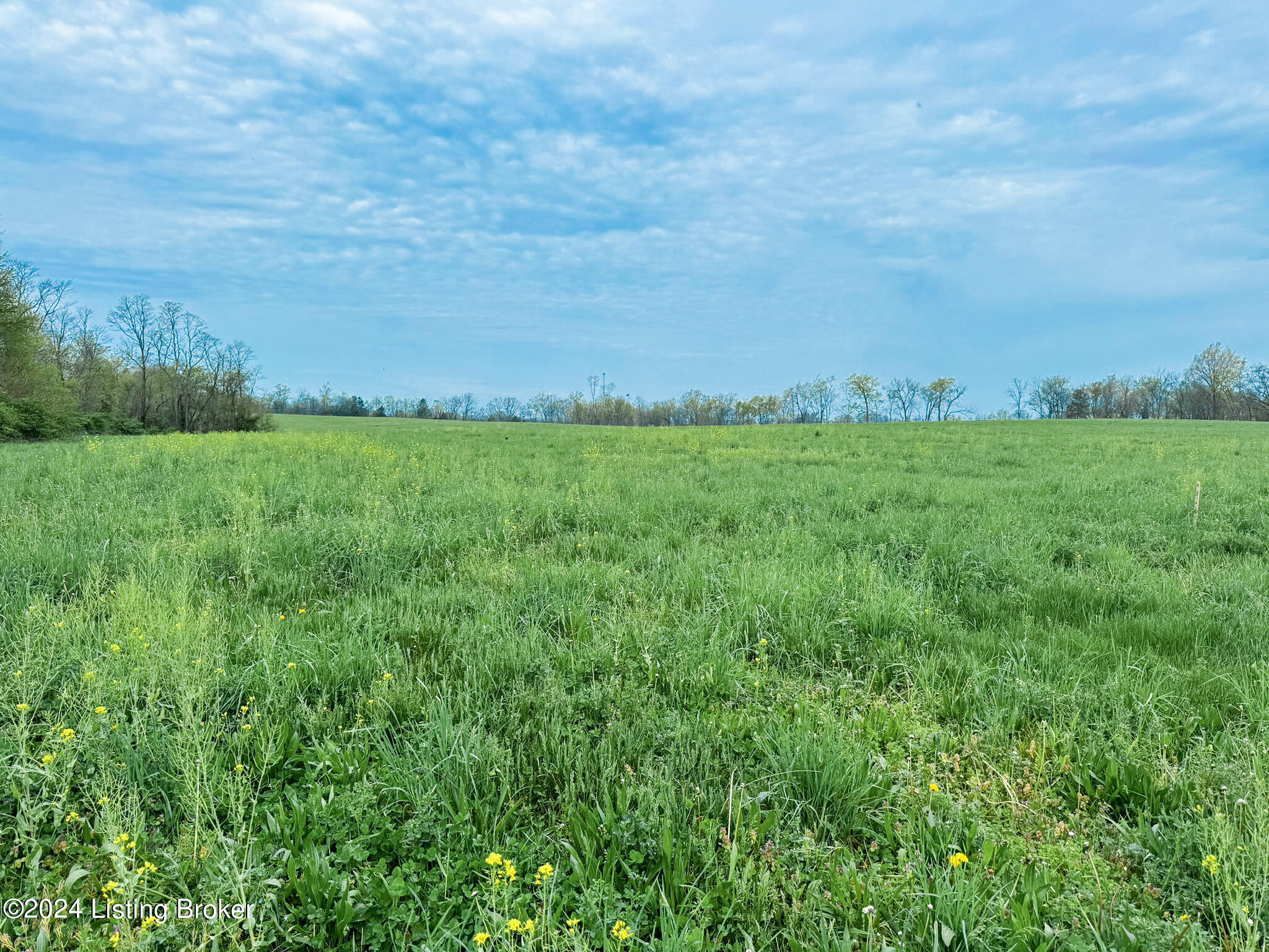 1157 Hannah Rd, Shelbyville, Kentucky image 8