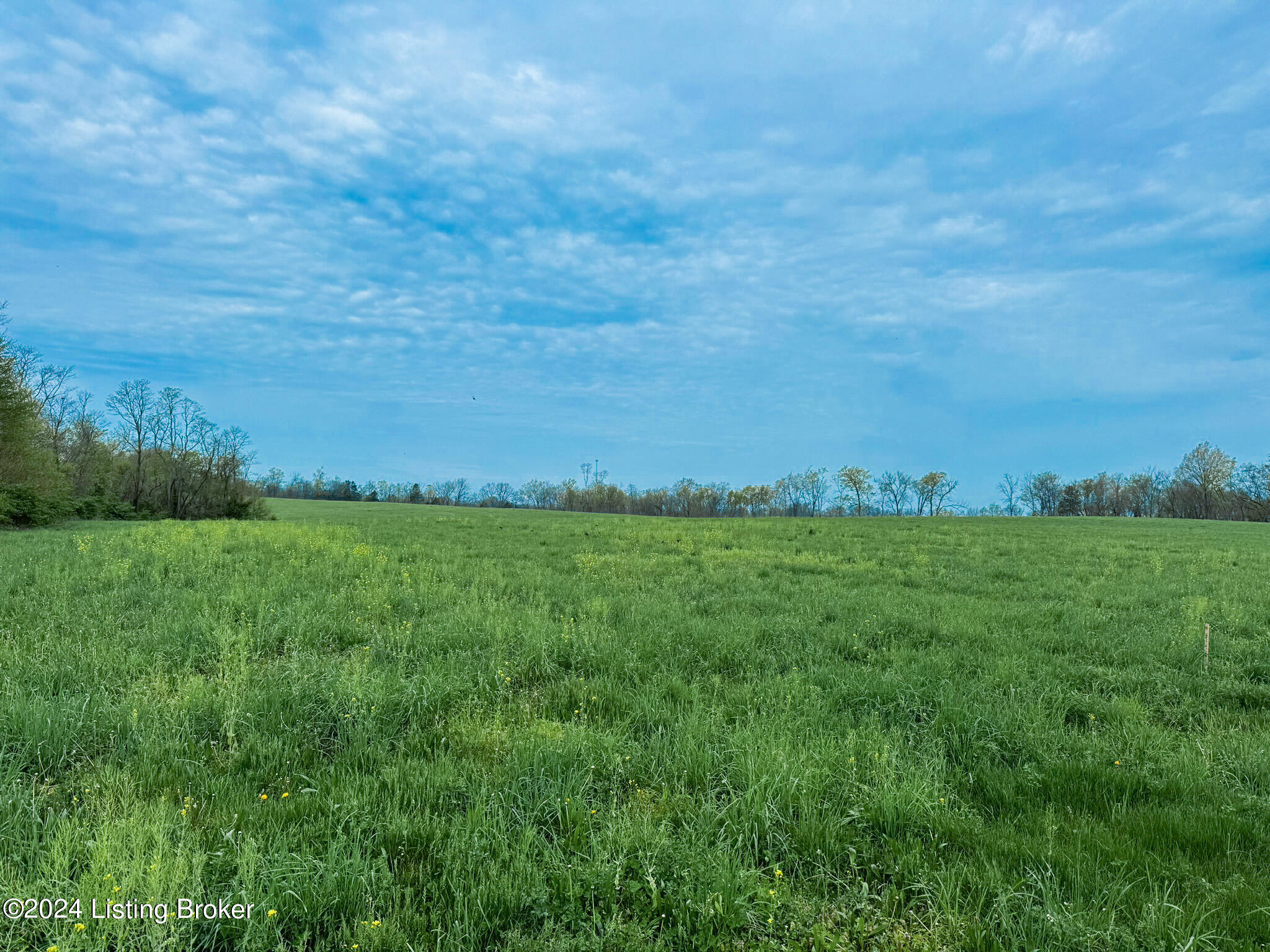 1157 Hannah Rd, Shelbyville, Kentucky image 7