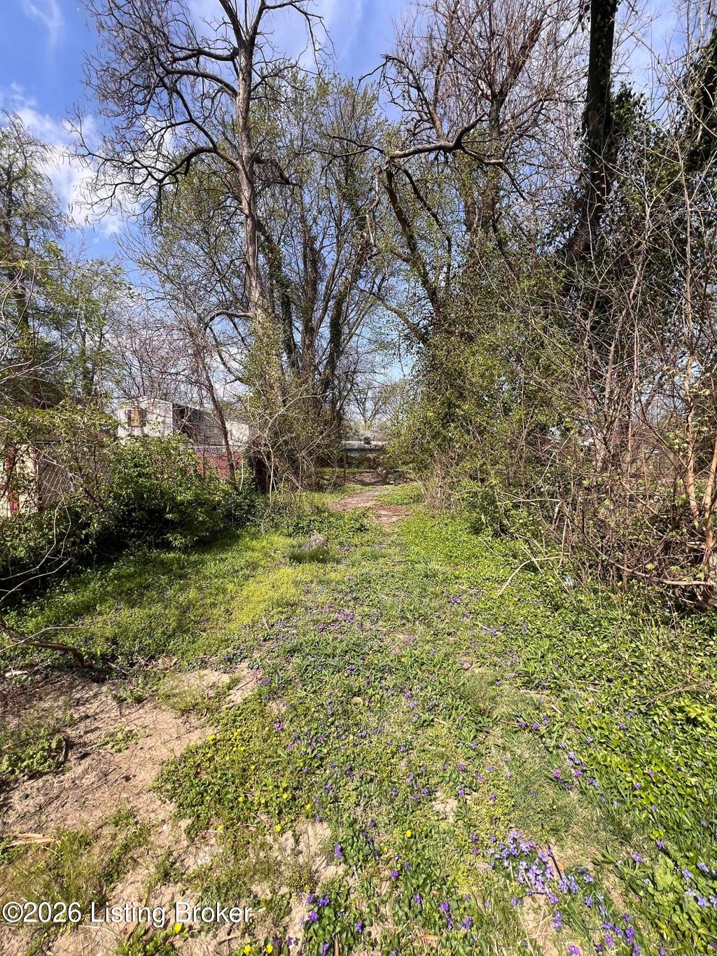 Photo of 1717 Hale Ave, Louisville, KY 40210 (MLS # 1713437)