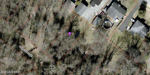 325 Camelia Ave Lyndon KY 40222