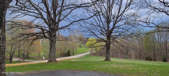 7657 Loretto Rd, Loretto, Kentucky image 36