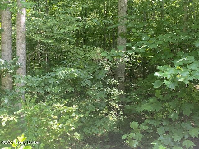 20 White Oak Ln, Leitchfield, Kentucky image 1