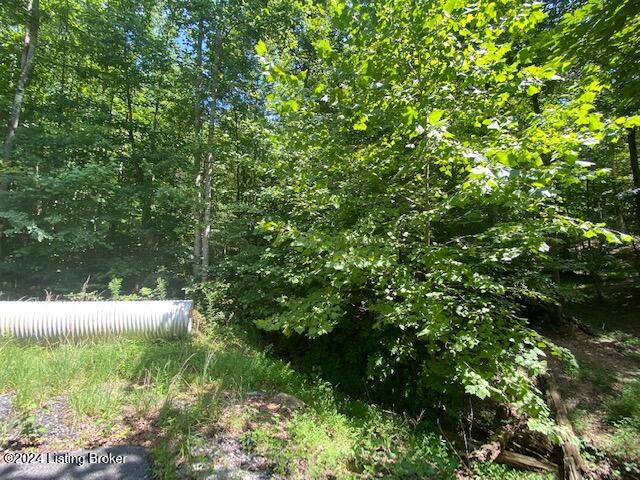 20 White Oak Ln, Leitchfield, Kentucky image 2