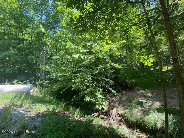 20 White Oak Ln, Leitchfield, Kentucky image 3