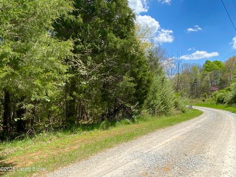 Vacant Land For Sale - LOT 16 Eveleigh Development<br/> Grayson County, Leitchfield, KY 42754