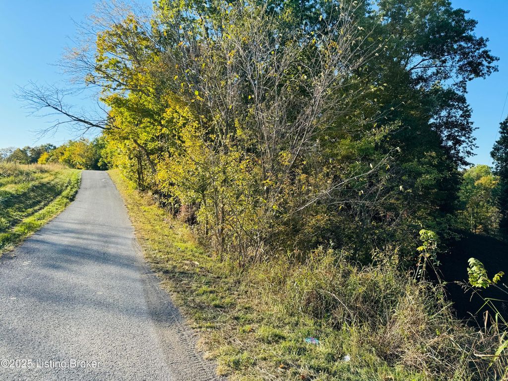 Photo of 430 Gordon Ford Rd, Willisburg, KY 40078 (MLS # 1705832)