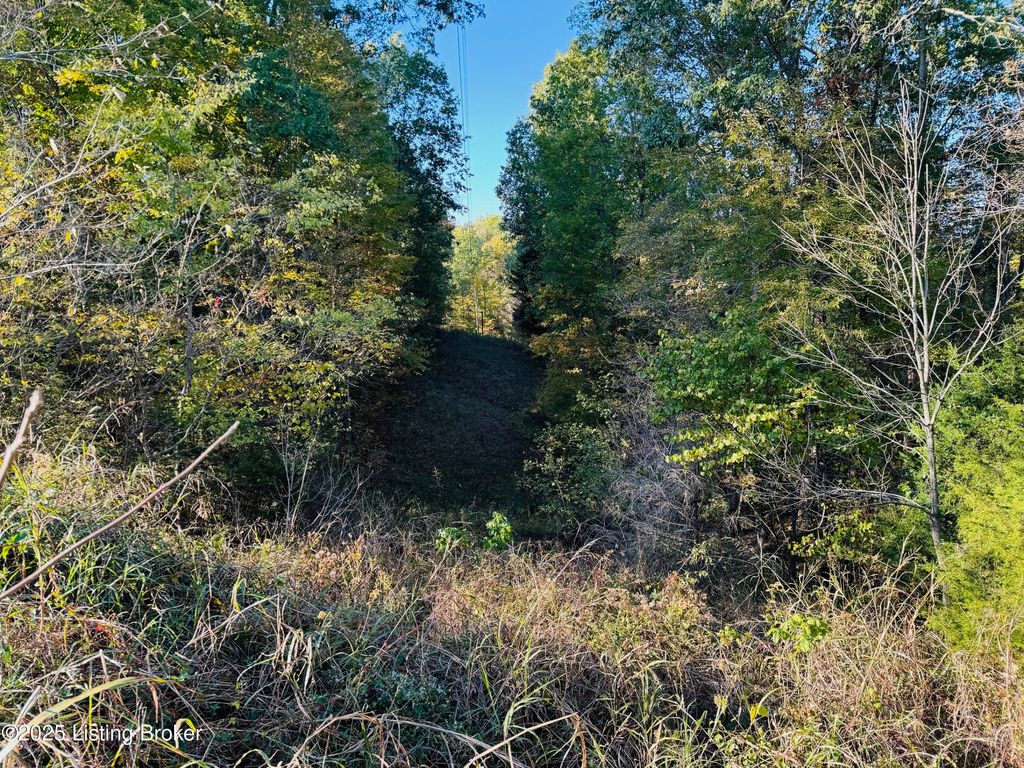 Photo of 430 Gordon Ford Rd, Willisburg, KY 40078 (MLS # 1705832)