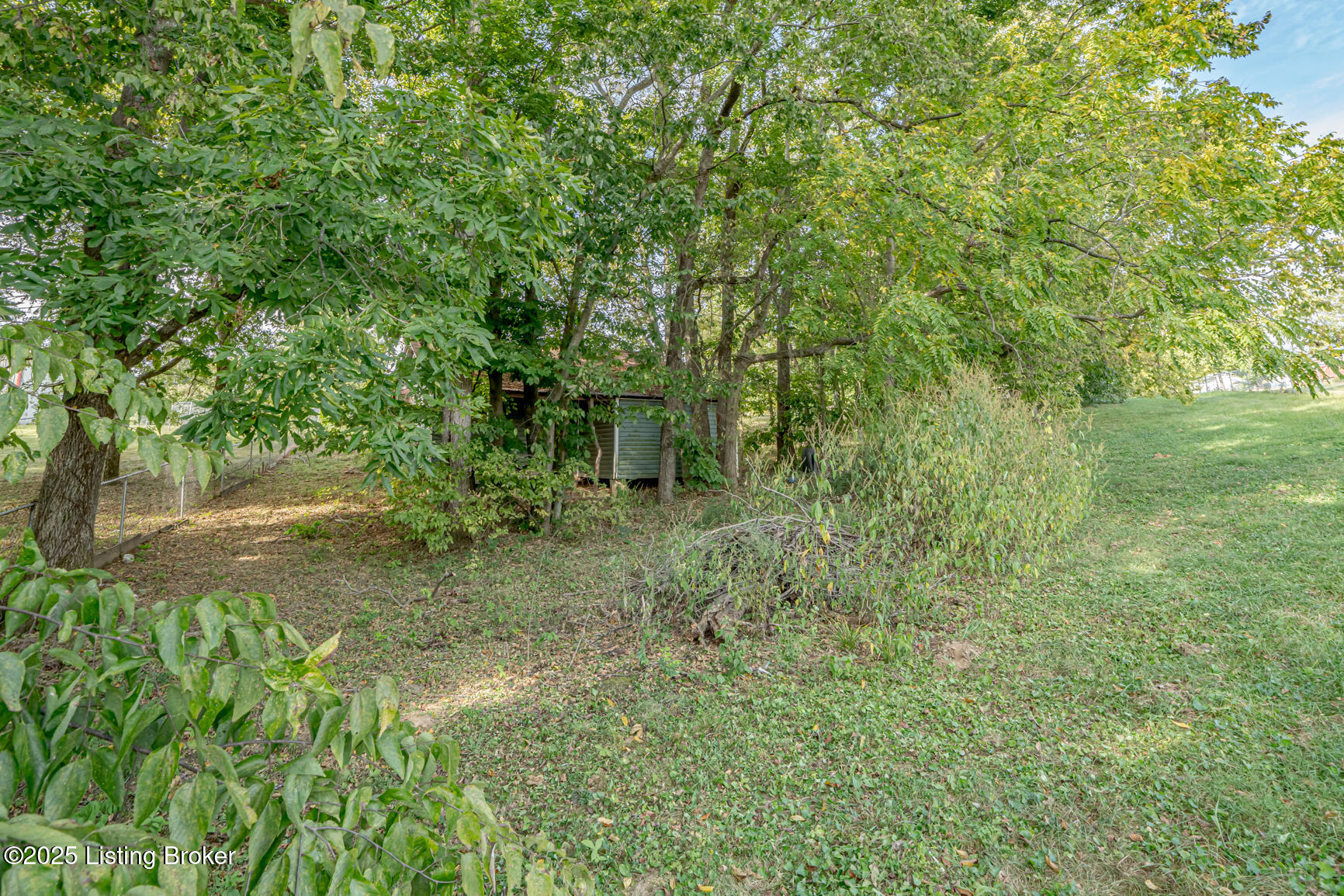 179 Evelyn Dr, Taylorsville, Kentucky image 44