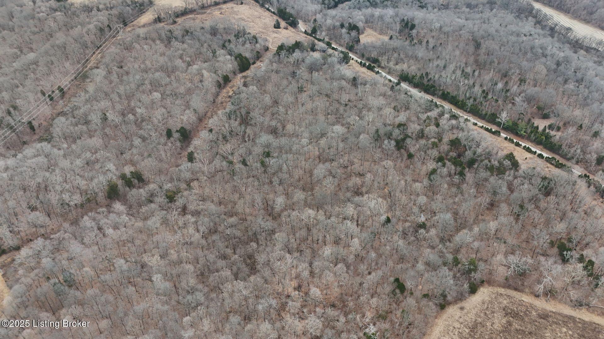 Tract 7 Wand Cemetery Road, Bowling Green, Kentucky image 6