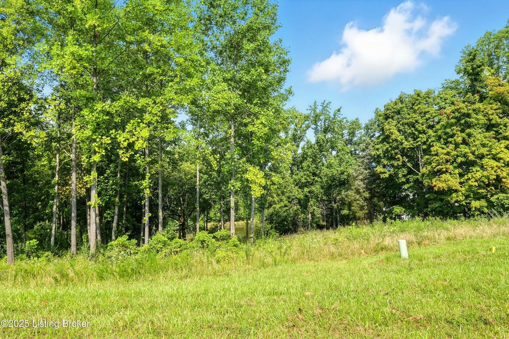 Photo of 5502 Farmhouse Dr, Crestwood, KY 40014 (MLS # 1662520)